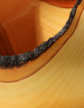Cherry Bowl Detail